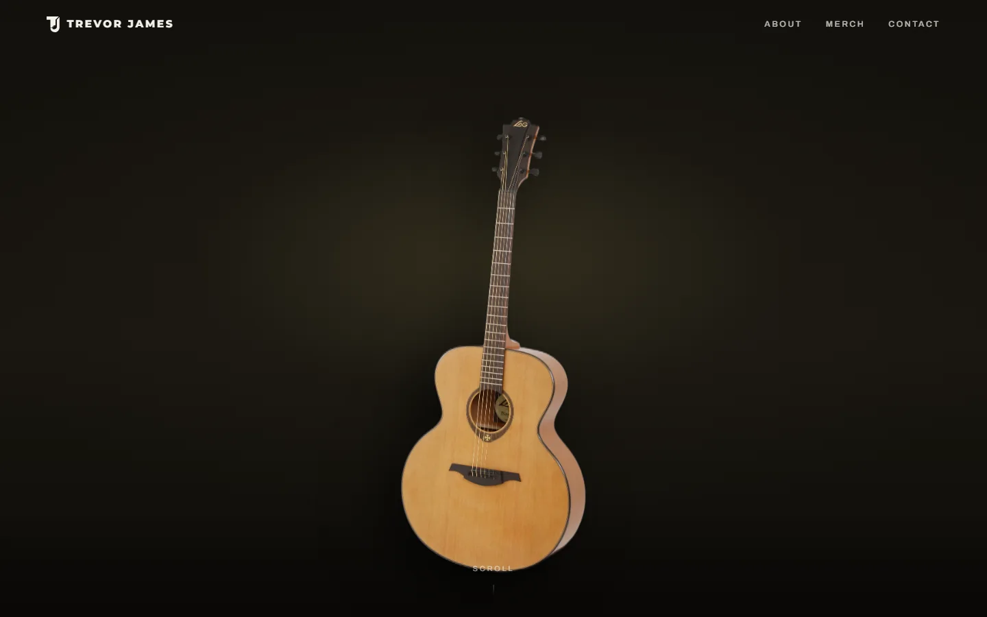 Trevor James website home page with the guitar hero image